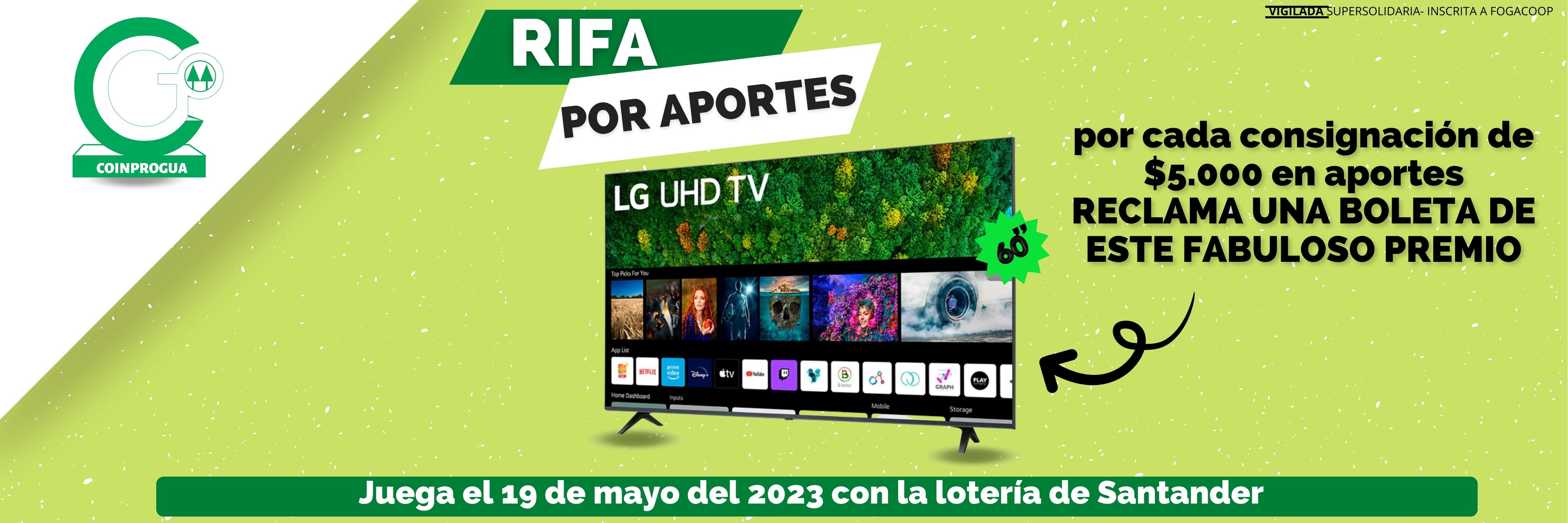 rifa tv  (1200 × 400 mm).jpg